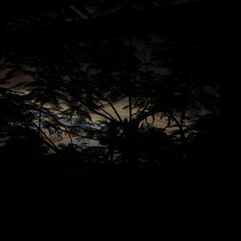 Meet your Posher, Shirley